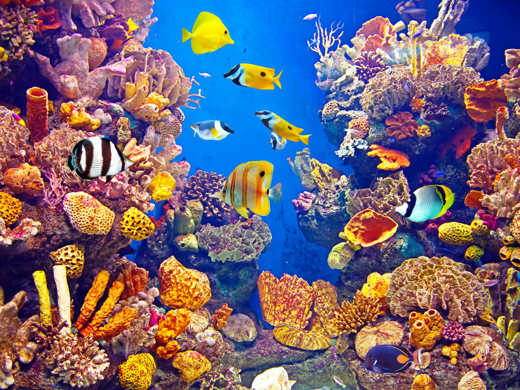 Aquarium with Tropical Fish jigsaw puzzle in Under the Sea puzzles on TheJigsawPuzzles.com