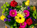 Colorful Spring Flowers