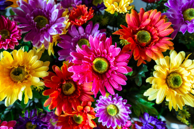 Plastic Flowers jigsaw puzzle in Flowers puzzles on TheJigsawPuzzles ...