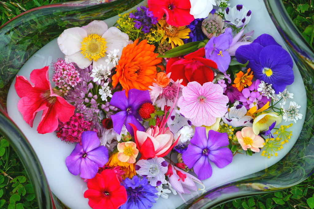 Summer Garden Flowers jigsaw puzzle in Flowers puzzles on TheJigsawPuzzles.com