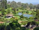 Cowra Japanese Garden
