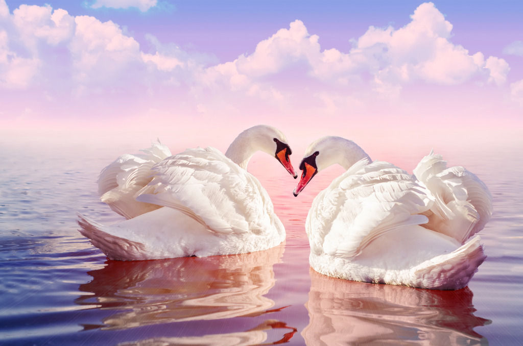 White Swans jigsaw puzzle in Valentine's Day puzzles on TheJigsawPuzzles.com