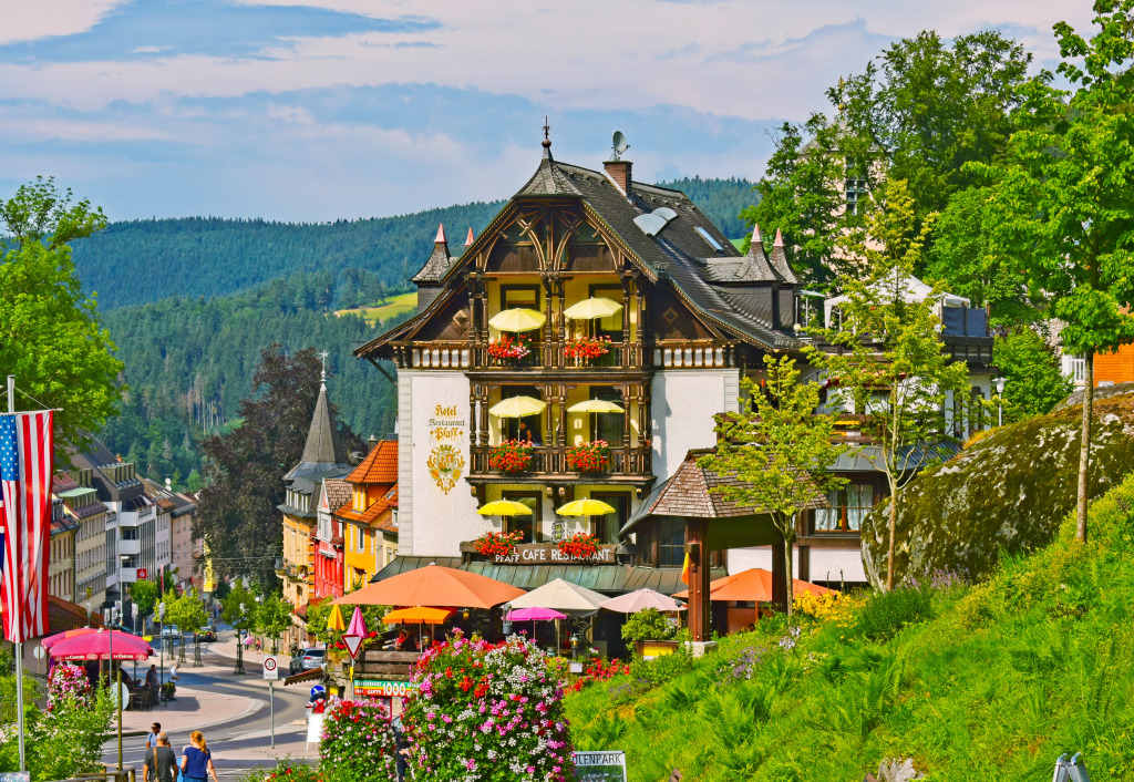 Triberg, Schwarzwald-Baar, Allemagne jigsaw puzzle in Paysages urbains puzzles on TheJigsawPuzzles.com