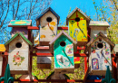 Birdhouses in the Park