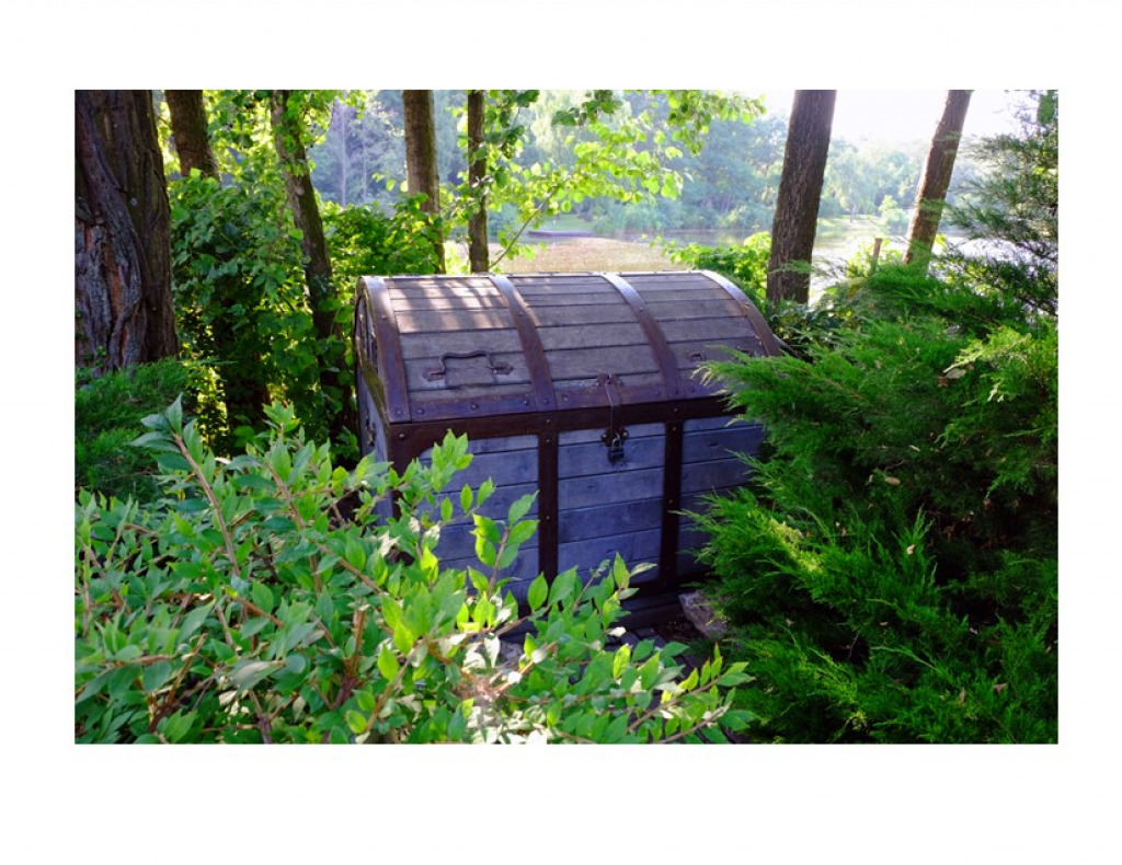 Treasure Chest in Forest jigsaw puzzle in Michelle Cummings puzzles on TheJigsawPuzzles.com