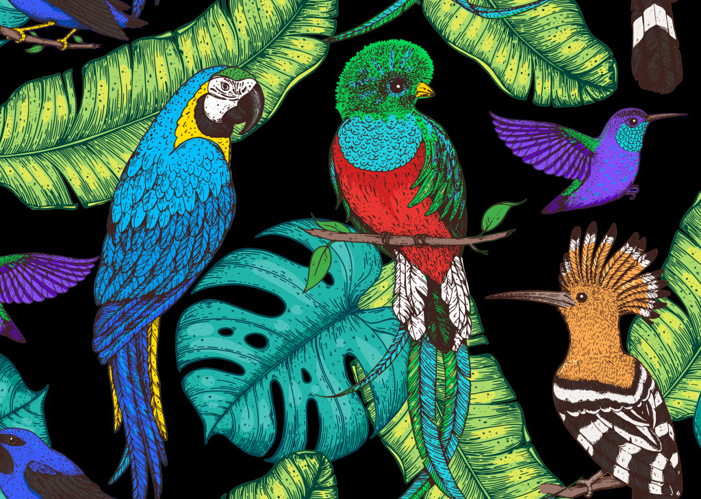 Hoopoe, Hummingbird, Quetzal, and Ara jigsaw puzzle in Animals puzzles on TheJigsawPuzzles.com