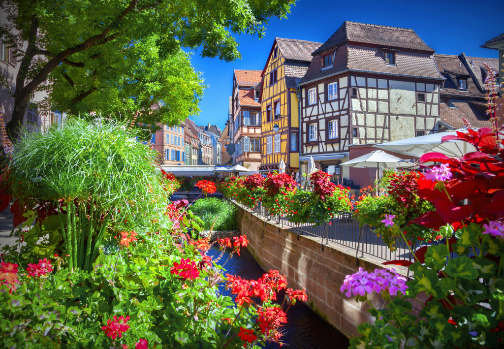 Town of Colmar, France jigsaw puzzle in Flowers puzzles on TheJigsawPuzzles.com