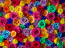 Carpet of Roses