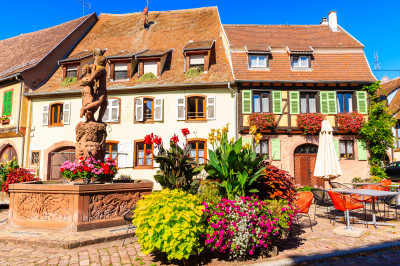 Kintzheim, Alsace Wine Route, France jigsaw puzzle in Flowers puzzles ...