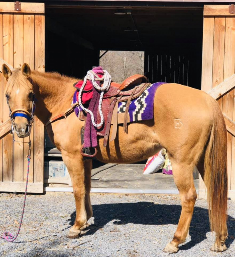 Peaches 2021 jigsaw puzzle in Norma J Hufnagel puzzles on TheJigsawPuzzles.com