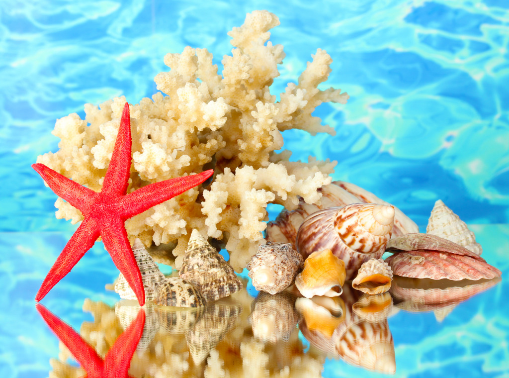 Морская звезда, кораллы и ракушки jigsaw puzzle in Подводный мир puzzles on TheJigsawPuzzles.com