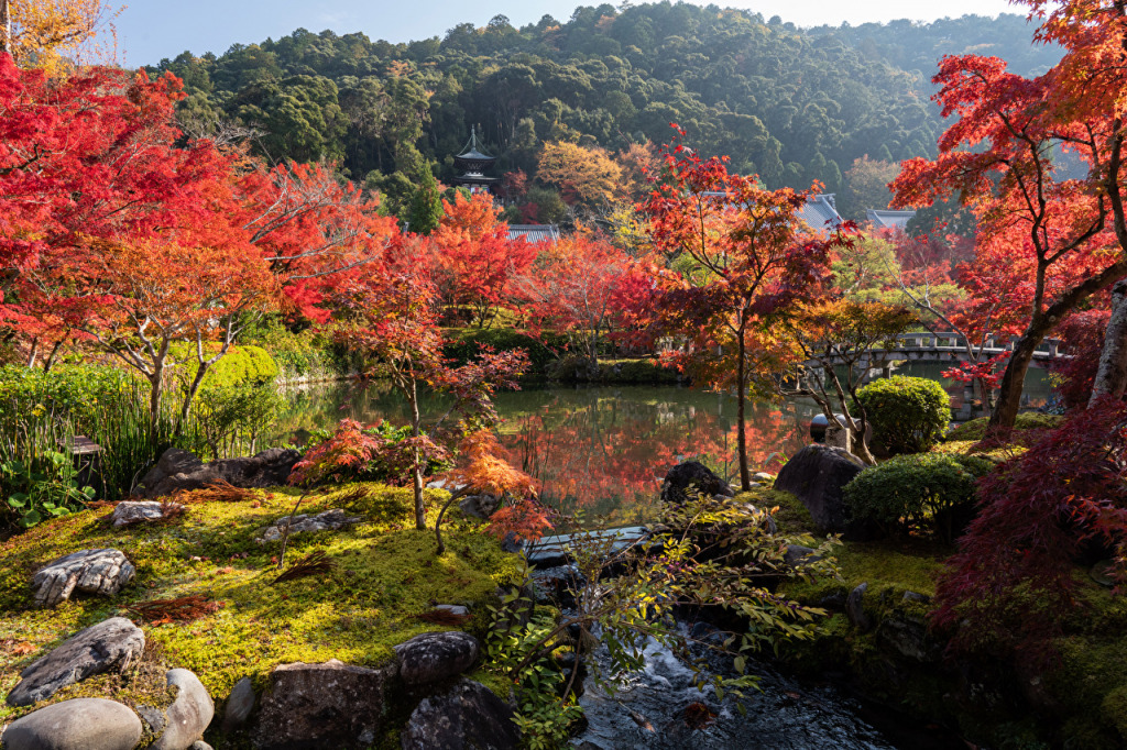 Kyoto_Parks jigsaw puzzle in ctheuma puzzles on TheJigsawPuzzles.com