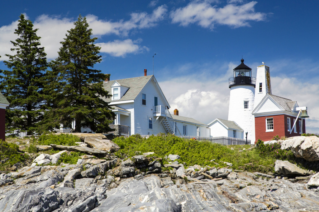 Pemaquid Point Light in Bristol, Maine jigsaw puzzle in Great Sightings puzzles on TheJigsawPuzzles.com