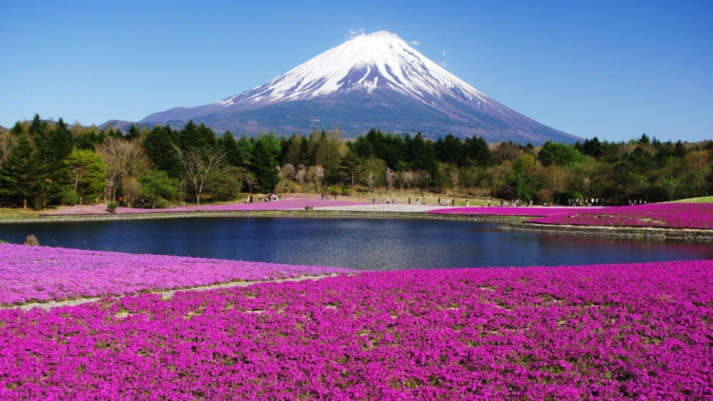 Mt Fuji 2019 jigsaw puzzle in ctheuma puzzles on TheJigsawPuzzles.com