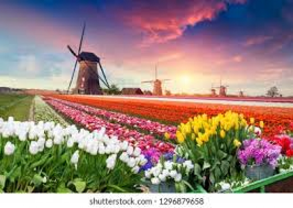 Holland in Bloom jigsaw puzzle in ctheuma puzzles on TheJigsawPuzzles.com