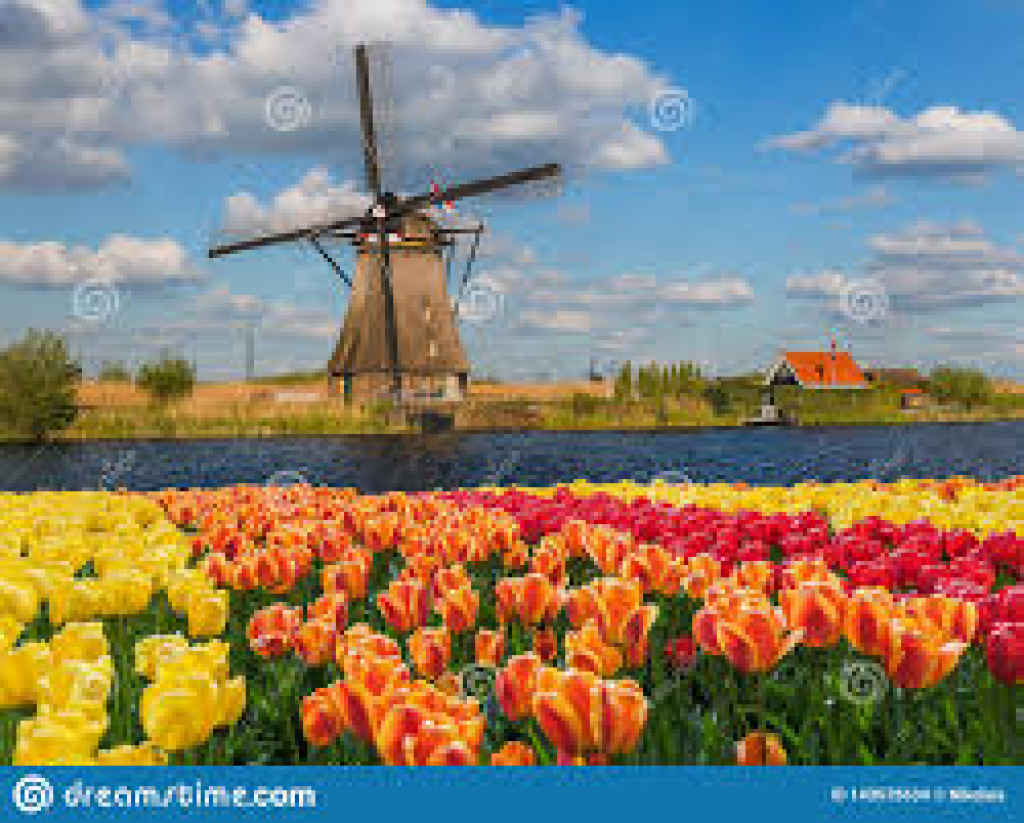 Netherlands in Bloom jigsaw puzzle in ctheuma puzzles on TheJigsawPuzzles.com