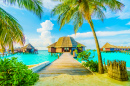 Tropical Resort, Maldives