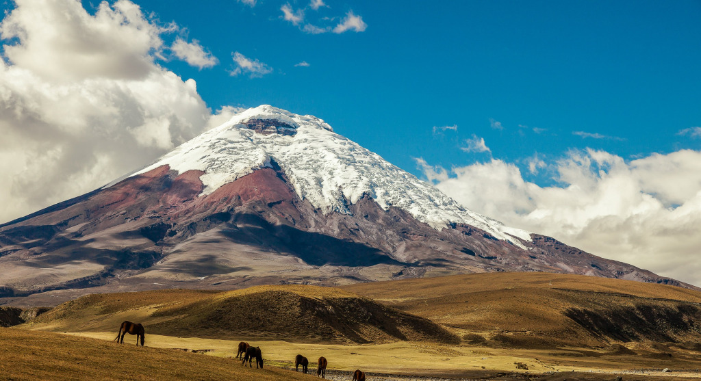 Cotopaxi Volcano & Horses jigsaw puzzle in ctheuma puzzles on TheJigsawPuzzles.com