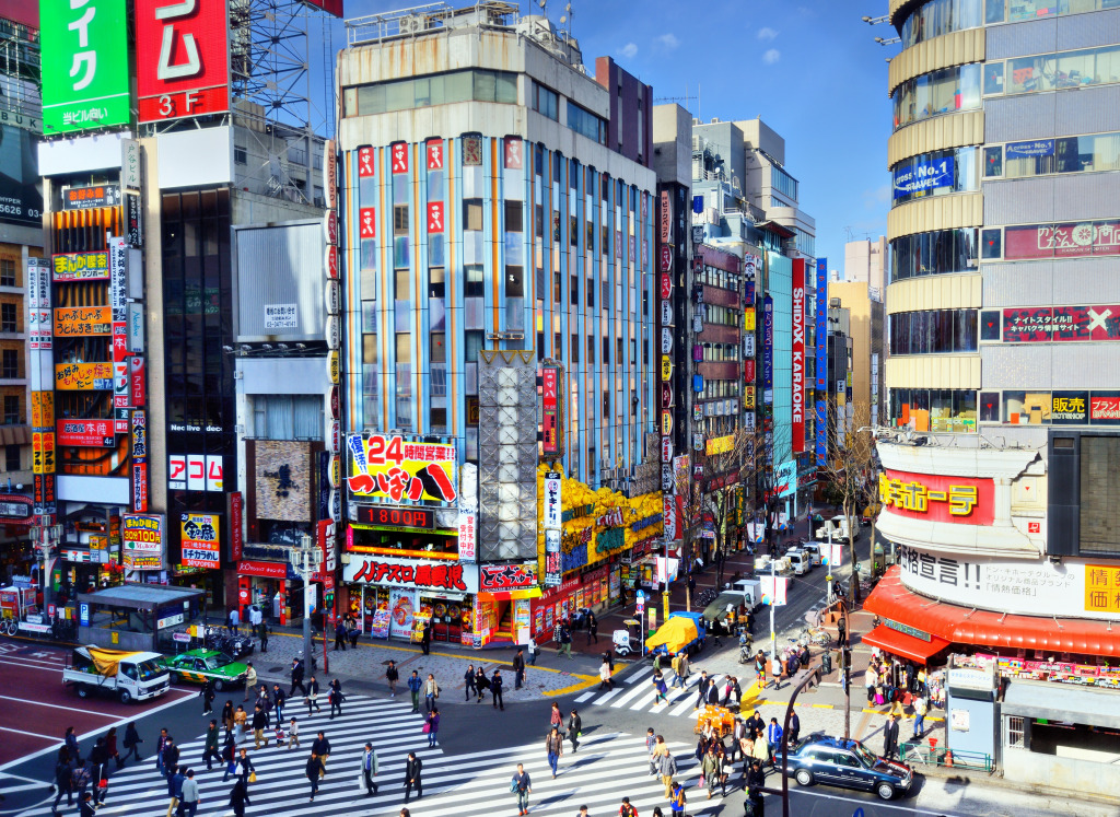 Shinjuku District of Tokyo, Japan jigsaw puzzle in Street View puzzles on TheJigsawPuzzles.com