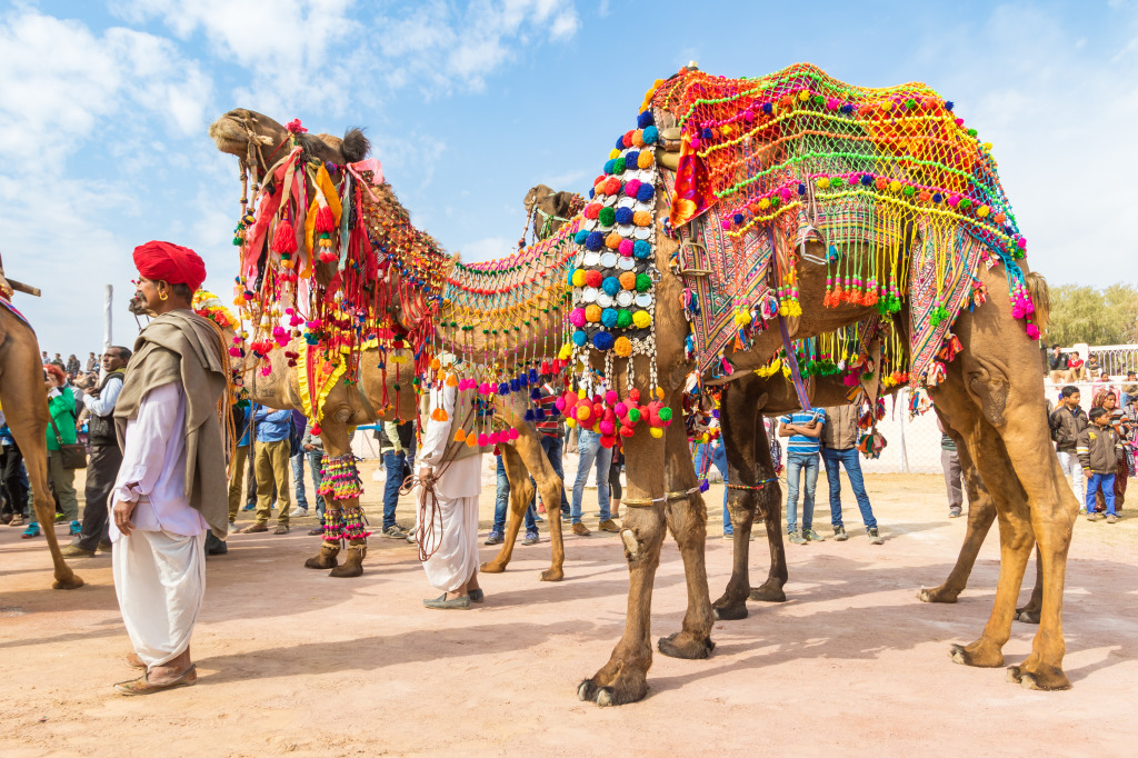 Decorated Camel at Bikaner, India jigsaw puzzle in Animals puzzles on TheJigsawPuzzles.com