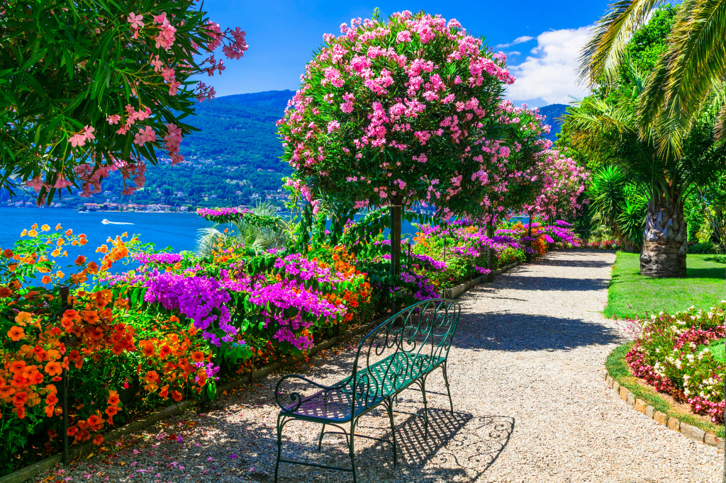 Maggiore Lake, Italy jigsaw puzzle in Great Sightings puzzles on TheJigsawPuzzles.com