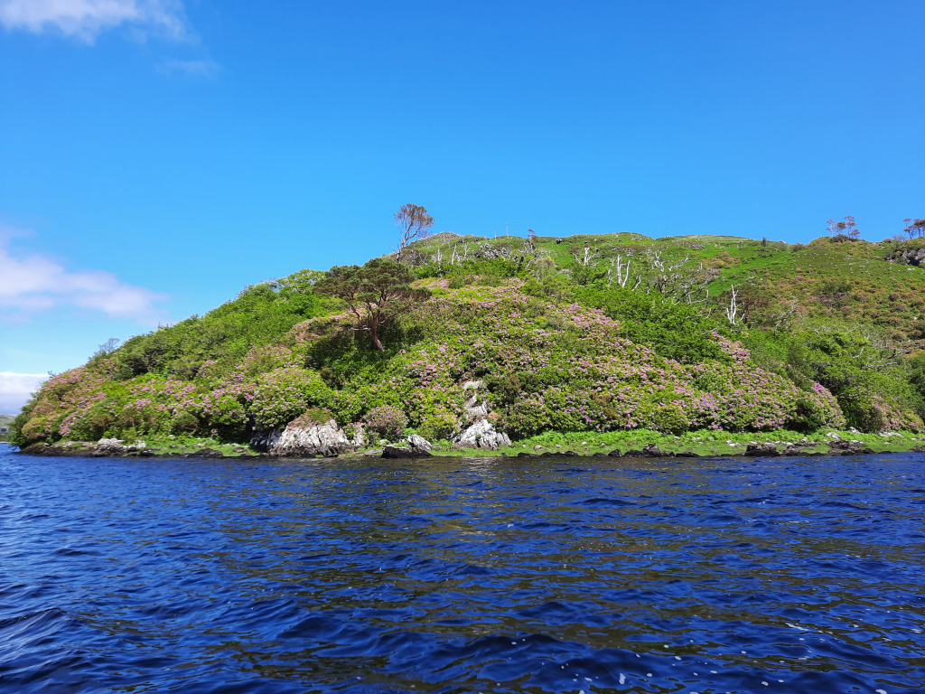 Caragh Lake jigsaw puzzle in Valentia Fishing puzzles on TheJigsawPuzzles.com