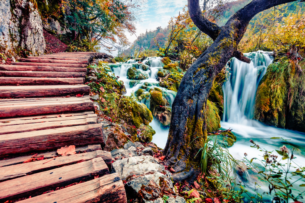 Plitvice National Park, Croatia jigsaw puzzle in Waterfalls puzzles on TheJigsawPuzzles.com
