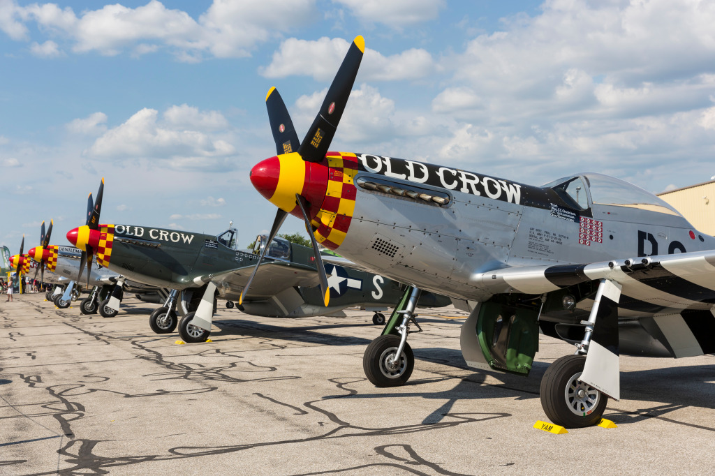 P-51 Mustang, Thunder Over Michigan Airshow jigsaw puzzle in Luftfahrt puzzles on TheJigsawPuzzles.com