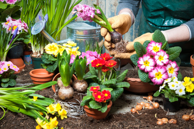 Planting Flowers jigsaw puzzle in Flowers puzzles on TheJigsawPuzzles ...