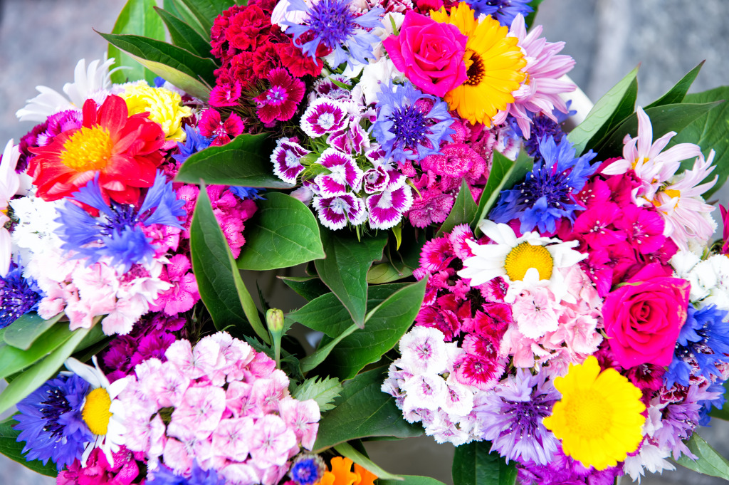 Bouquet of Bright Flowers jigsaw puzzle in Puzzle of the Day puzzles on TheJigsawPuzzles.com