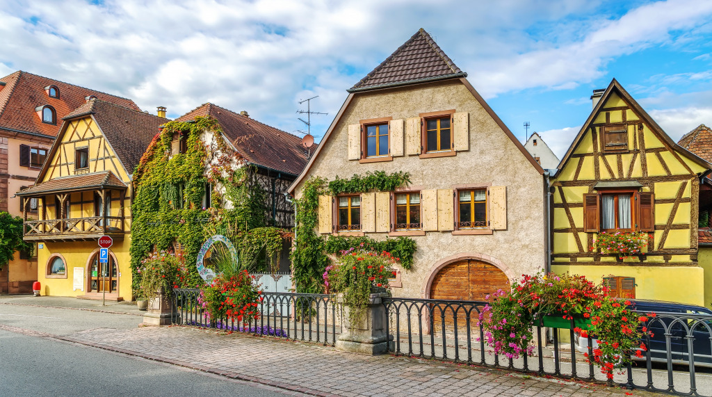 Historische Häuser in Bergheim, Frankreich jigsaw puzzle in Straßenansicht puzzles on TheJigsawPuzzles.com