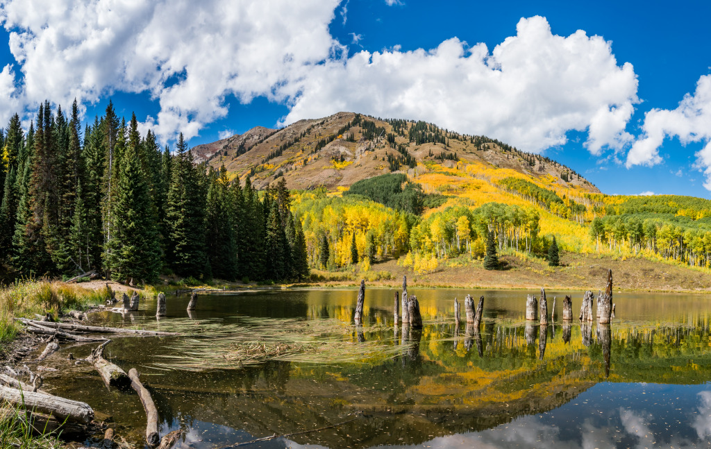 Beaver Ponds, Crested Butte, Colorado jigsaw puzzle in Lugares Maravilhosos puzzles on TheJigsawPuzzles.com
