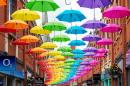 Umbrella Street, Durham, UK