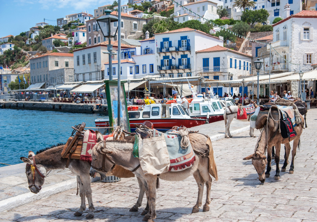 Esel in Hydra, Griechenland jigsaw puzzle in Tiere puzzles on TheJigsawPuzzles.com