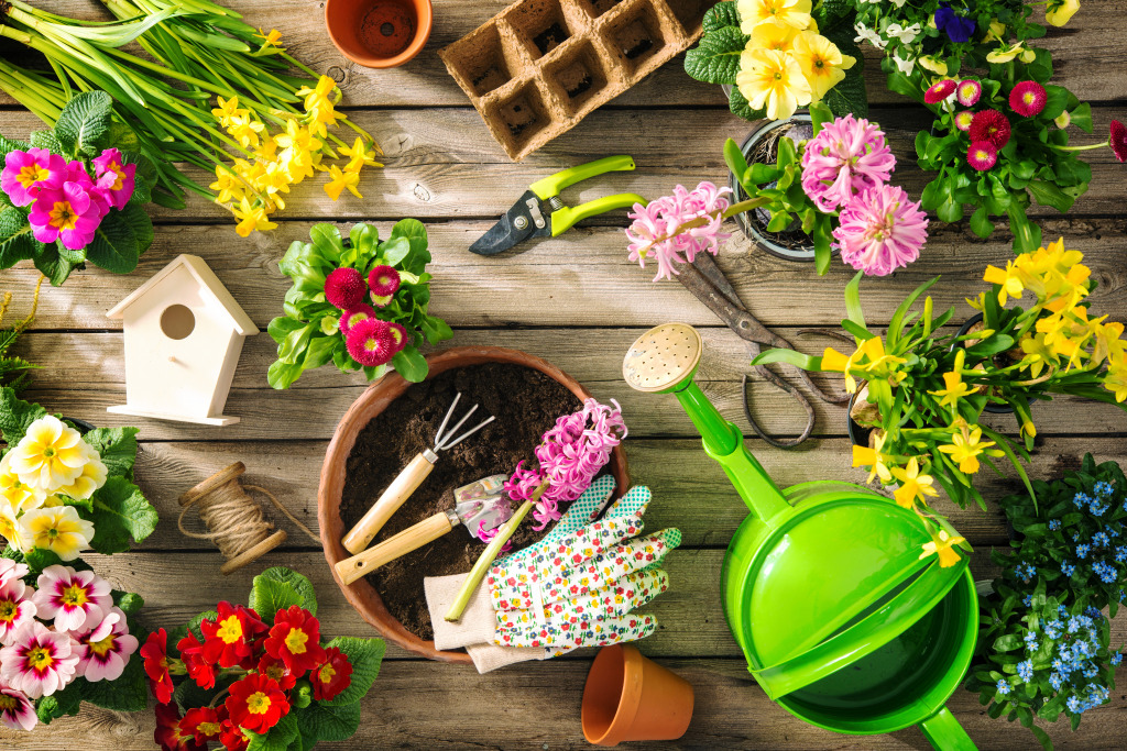 Gardening Tools and Spring Flowers jigsaw puzzle in Flowers puzzles on TheJigsawPuzzles.com