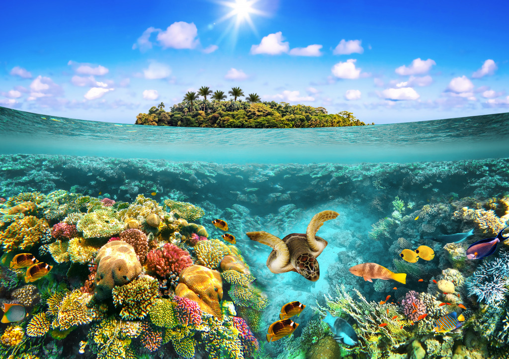 Tropical Island jigsaw puzzle in Sous les mers puzzles on TheJigsawPuzzles.com