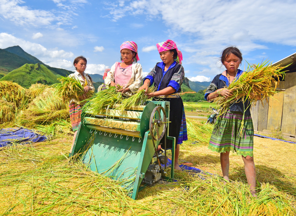 Rice Farmers in Laocai, Vietnam jigsaw puzzle in People puzzles on TheJigsawPuzzles.com