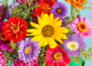 Bouquet of Colorful Flowers