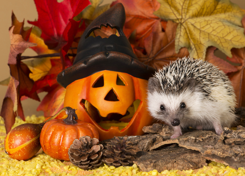 Halloween-Igel jigsaw puzzle in Tiere puzzles on TheJigsawPuzzles.com