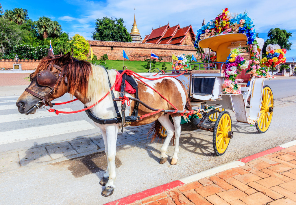 Traditional Horse Carriage, Lampang, Thailand jigsaw puzzle in Animaux puzzles on TheJigsawPuzzles.com
