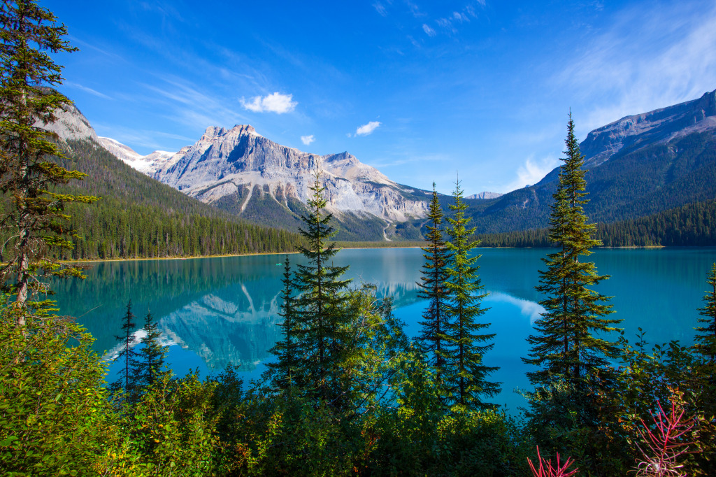 Emerald Lake, Banff National Park, Canada jigsaw puzzle in Magnifiques vues puzzles on TheJigsawPuzzles.com