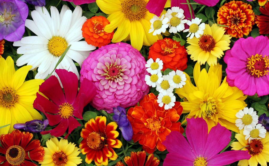Bright Flowers jigsaw puzzle in Fleurs puzzles on TheJigsawPuzzles.com