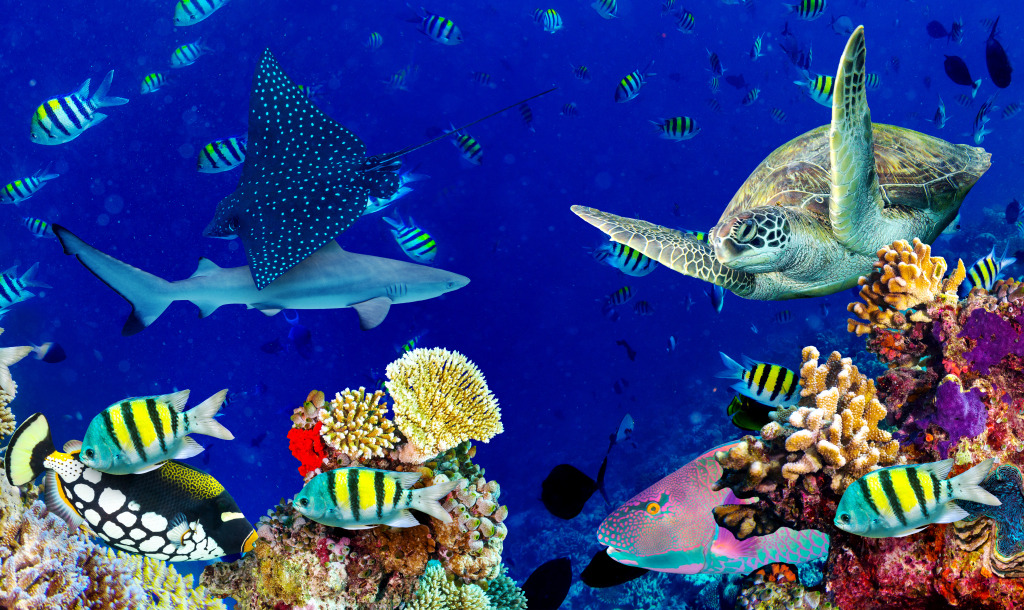 Coral Reef Landscape jigsaw puzzle in Sous les mers puzzles on TheJigsawPuzzles.com