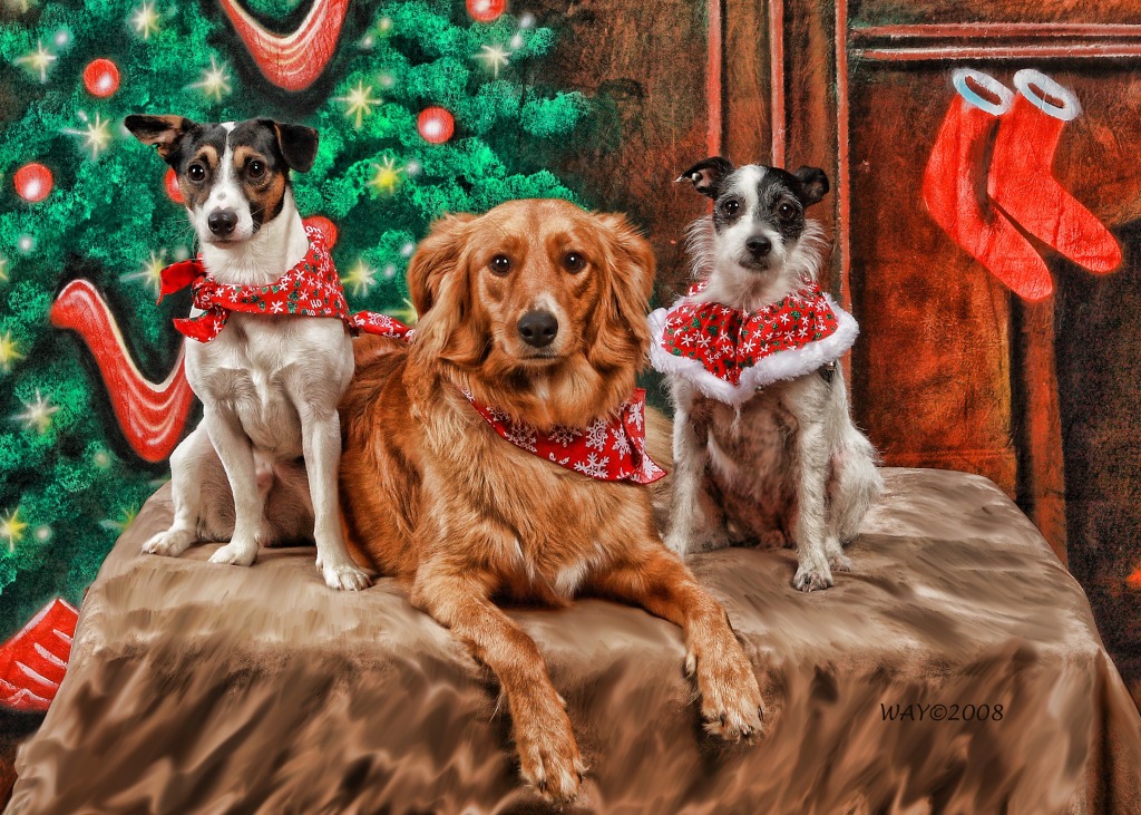 Merry Christmas from Colt, Lily, Trixie jigsaw puzzle in Christmas & New Year puzzles on TheJigsawPuzzles.com