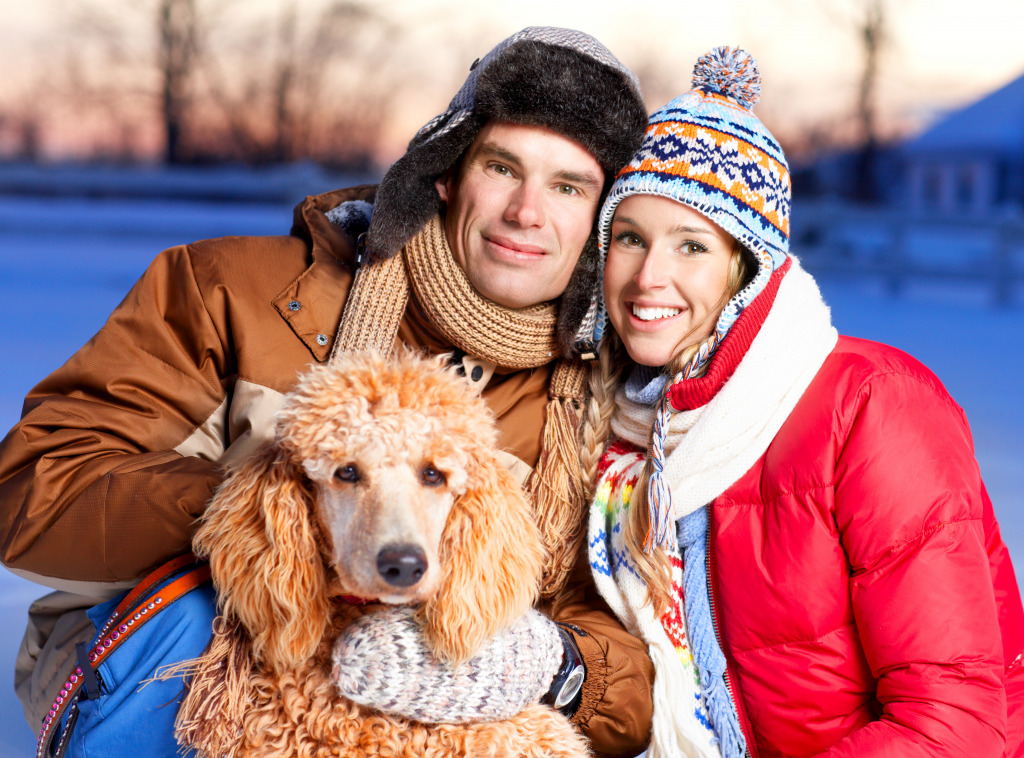 Young Couple with a Dog jigsaw puzzle in People puzzles on TheJigsawPuzzles.com