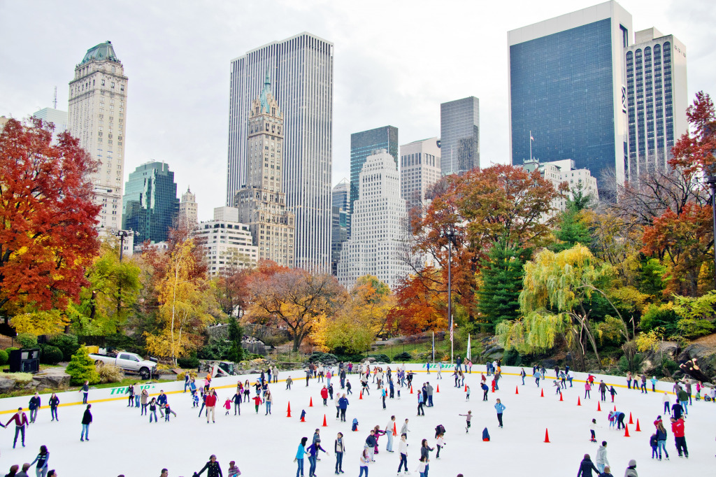 Wollman Ice Rink in Central Park, NYC jigsaw puzzle in Puzzle du jour puzzles on TheJigsawPuzzles.com