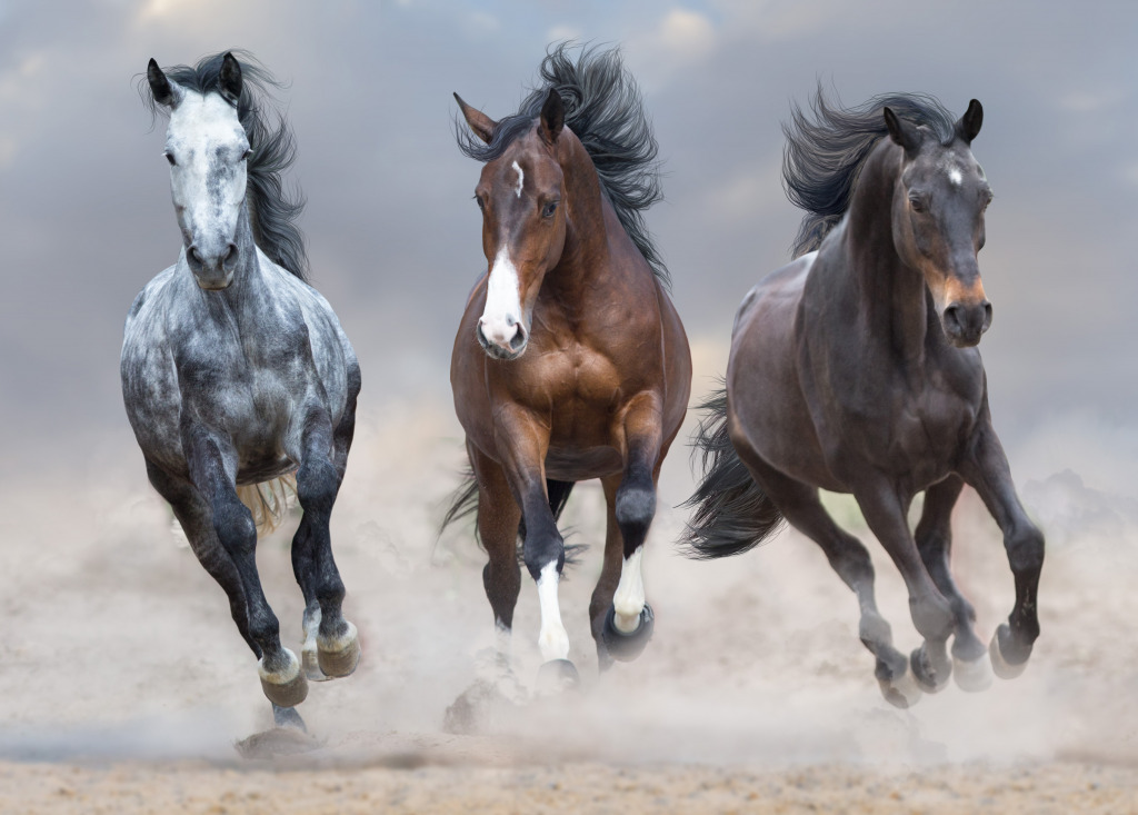 Horses Running Free jigsaw puzzle in Animals puzzles on TheJigsawPuzzles.com