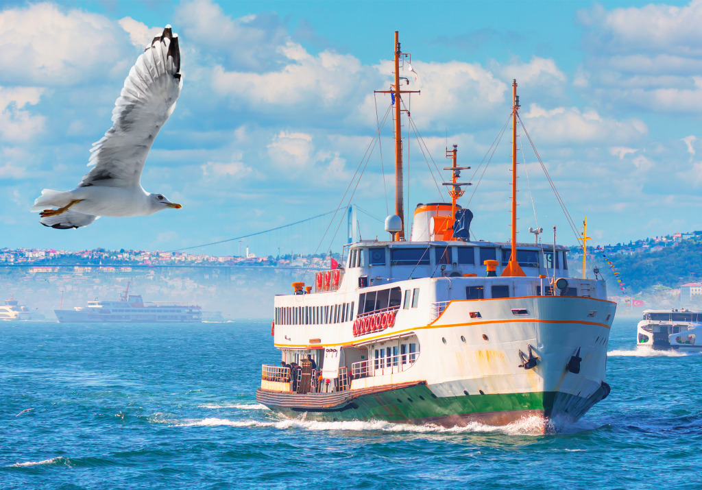 Passenger Ferry Boat in Bosphorus jigsaw puzzle in Puzzle du jour puzzles on TheJigsawPuzzles.com