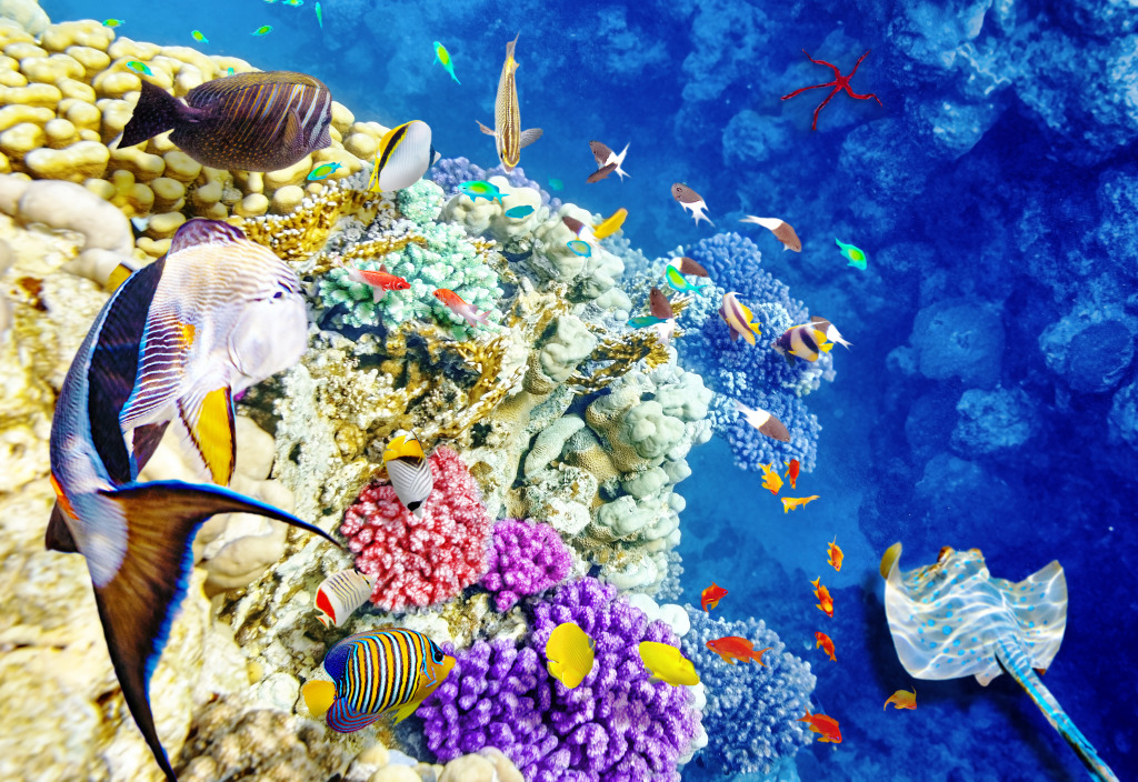 Кораллы и тропические рыбы jigsaw puzzle in Подводный мир puzzles on TheJigsawPuzzles.com