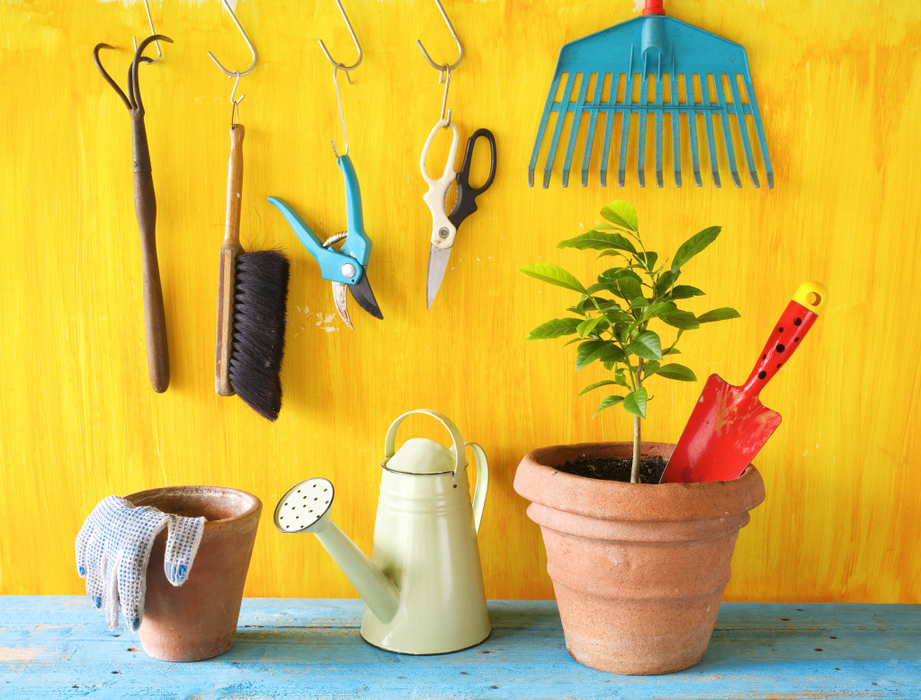 Gardening Tools jigsaw puzzle in Puzzle of the Day puzzles on TheJigsawPuzzles.com